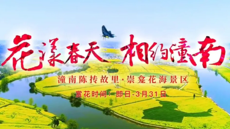 花样春天，相约潼南，中国最大的油菜花太极图！潼南宣传片!