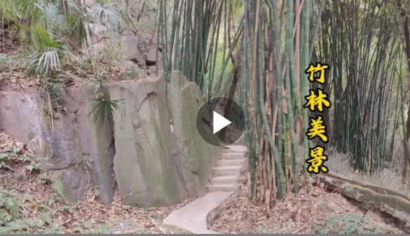 万州机场外的一处竹林美景，小沟流水清净优雅！难得得竹林胜境！