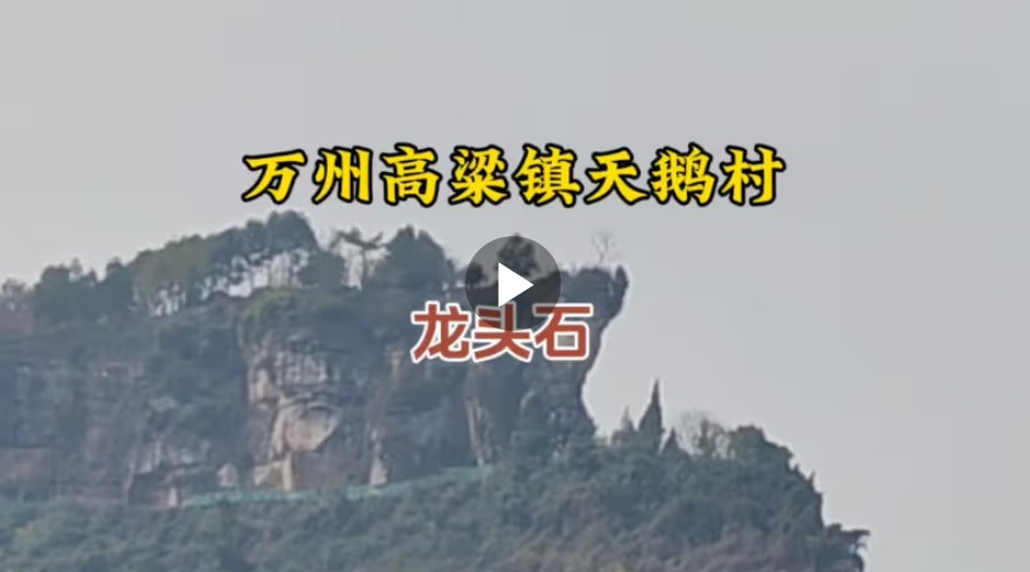 重庆万州高粱镇龙头石，由福龙打败猴精幻化而成，天鹅终身陪伴！